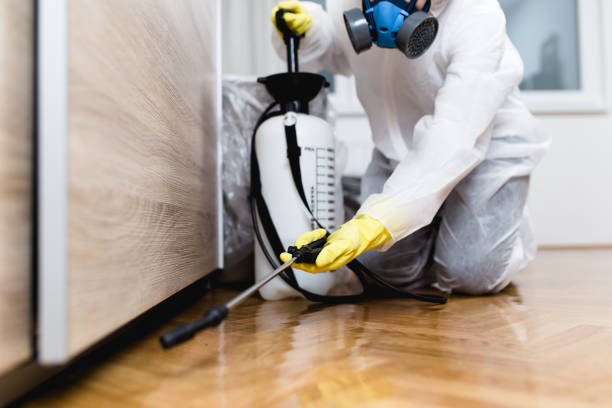Pest Prevention Services in Little Walnut Village, NM