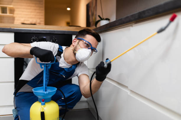 Professional Pest Control in Little Walnut Village, NM