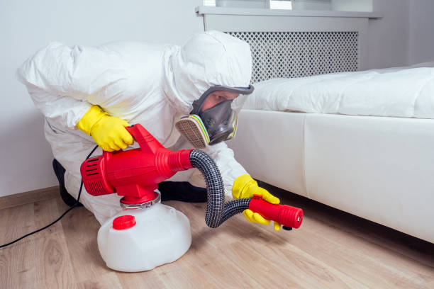 Best Commercial Pest Control Services  in Little Walnut Village, NM