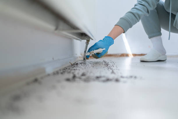  Little Walnut Village, NM Pest Control Pros
